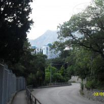 фото из отзыва ID 1428527