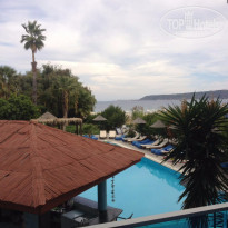 фото из отзыва ID 1428524