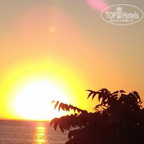 фото из отзыва ID 1428576