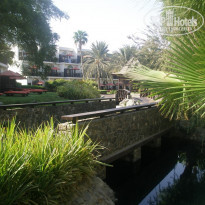 фото из отзыва ID 1428596