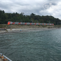 фото из отзыва ID 1428606