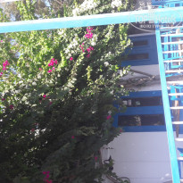 фото из отзыва ID 1427468