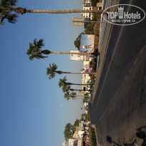 фото из отзыва ID 1427468