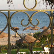 фото из отзыва ID 1428719