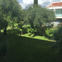 фото из отзыва ID 1428784