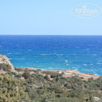 фото из отзыва ID 1428871