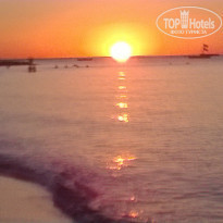 фото из отзыва ID 1428987