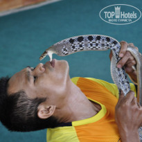 фото из отзыва ID 1429023