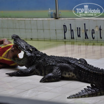 фото из отзыва ID 1429023