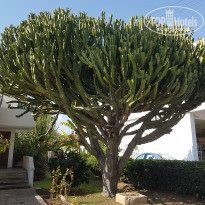 фото из отзыва ID 1429178