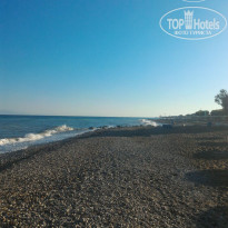 фото из отзыва ID 1429264