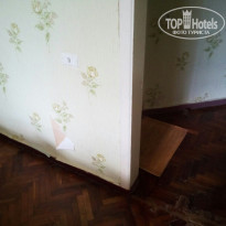 фото из отзыва ID 1429311