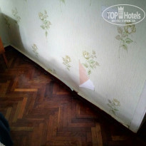 фото из отзыва ID 1429311