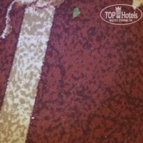 фото из отзыва ID 1429413