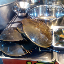 фото из отзыва ID 1428007