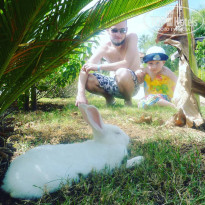 фото из отзыва ID 1429480