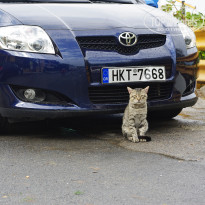 фото из отзыва ID 1429510