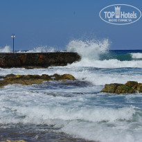 фото из отзыва ID 1429510