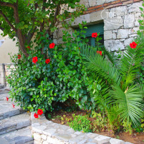 фото из отзыва ID 1429510