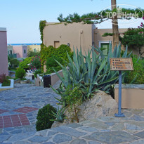 фото из отзыва ID 1429510