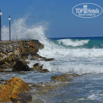 фото из отзыва ID 1429510