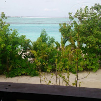 фото из отзыва ID 1429544