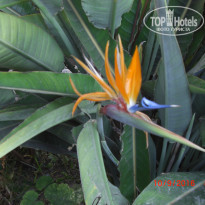 фото из отзыва ID 1429646