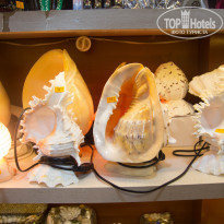 фото из отзыва ID 1429654