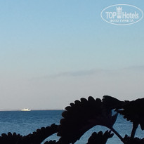 фото из отзыва ID 1428576