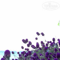 фото из отзыва ID 1428576