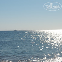 фото из отзыва ID 1429711