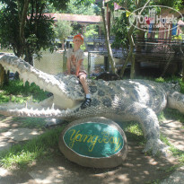 фото из отзыва ID 1422041