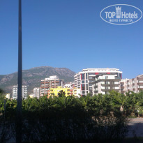 фото из отзыва ID 1429930