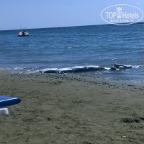 фото из отзыва ID 1428987