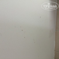 фото из отзыва ID 1429152