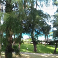 фото из отзыва ID 1429962