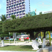 фото из отзыва ID 1429933