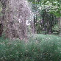 фото из отзыва ID 1429385