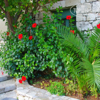 фото из отзыва ID 1429510