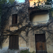 фото из отзыва ID 1428758