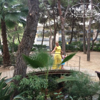 фото из отзыва ID 1428758