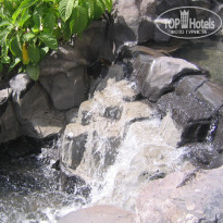 фото из отзыва ID 143061