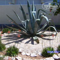 фото из отзыва ID 143495