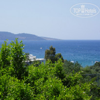 фото из отзыва ID 143921