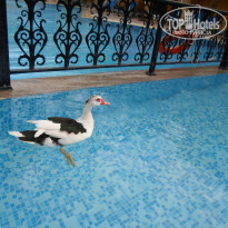 фото из отзыва ID 1430010