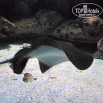 фото из отзыва ID 1430010