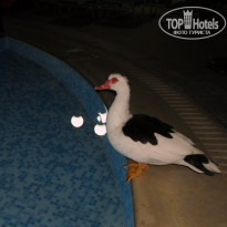 фото из отзыва ID 1430010