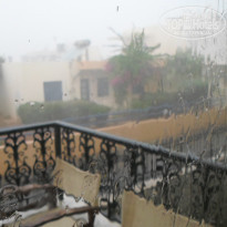 фото из отзыва ID 1430010