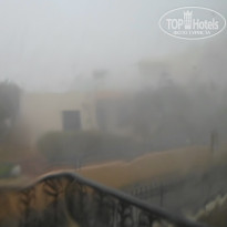 фото из отзыва ID 1430010