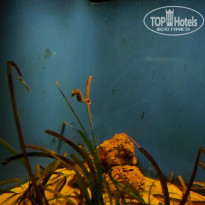 фото из отзыва ID 1430010